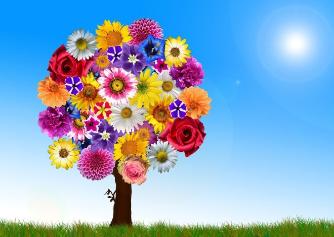 Les secrets d’une vie harmonieuse